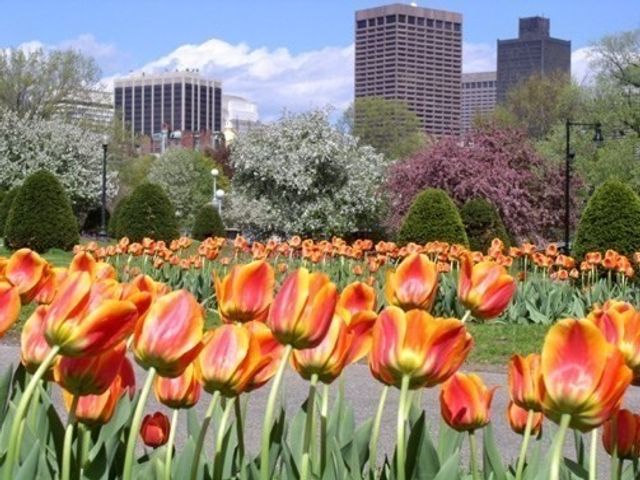 133 Marlborough Street 7, Boston, MA 02116