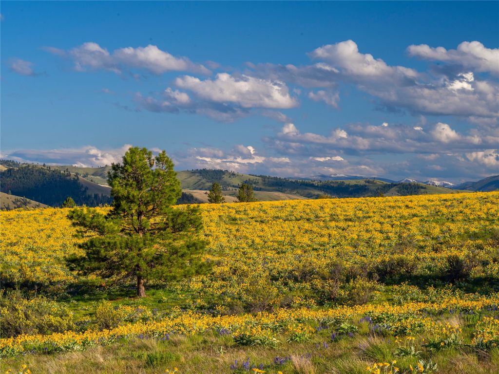 2519 Old Darby Road, Darby, MT 59829 photo 11