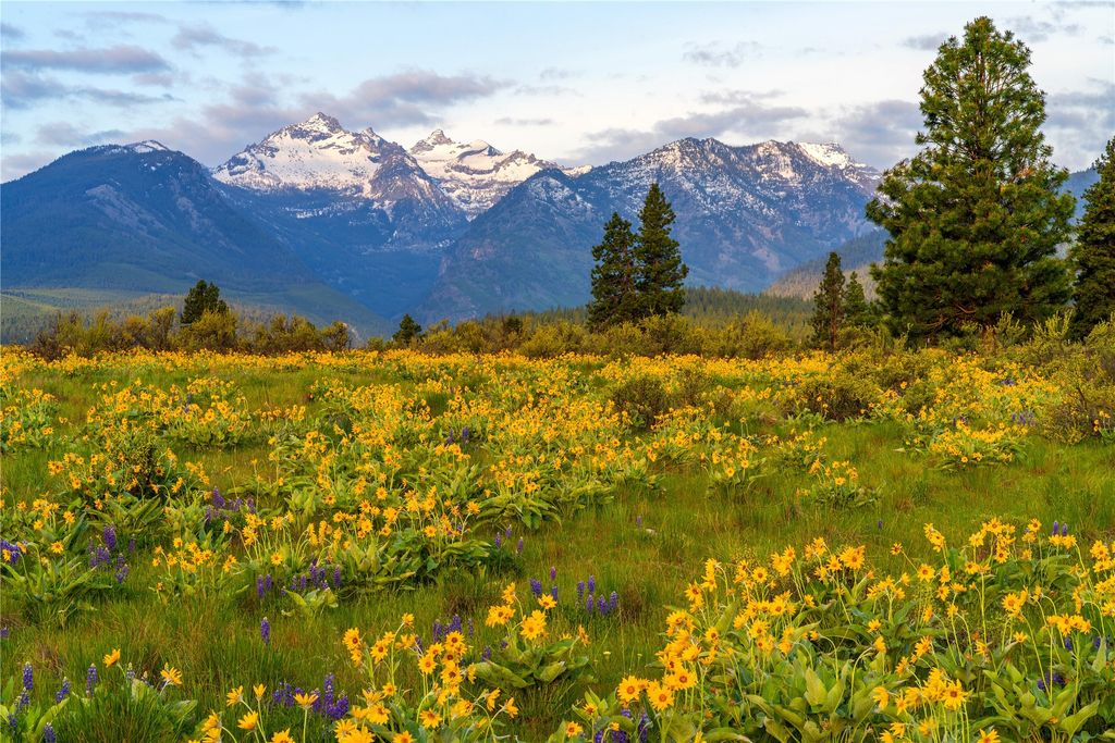 2519 Old Darby Road, Darby, MT 59829 photo 12