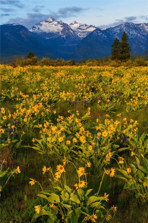 2519 Old Darby Road, Darby, MT 59829 photo 13