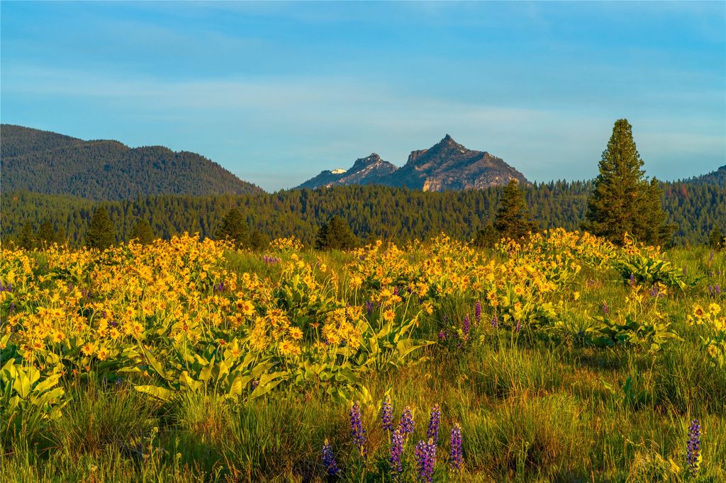 2519 Old Darby Road, Darby, MT 59829 photo 14