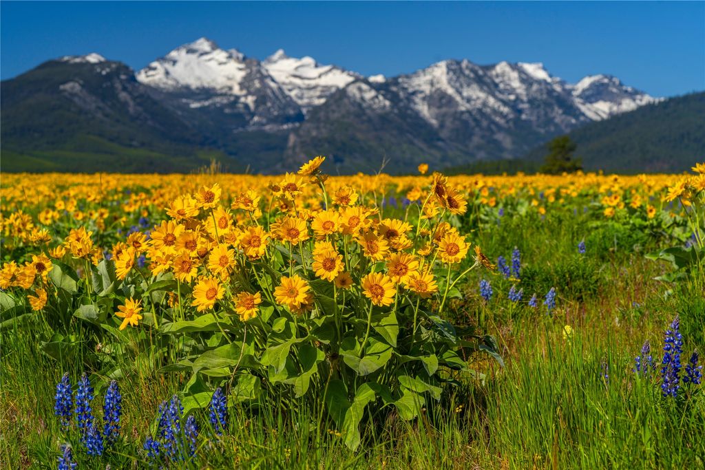 2519 Old Darby Road, Darby, MT 59829 photo 15