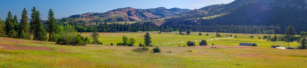 2519 Old Darby Road, Darby, MT 59829 photo 18