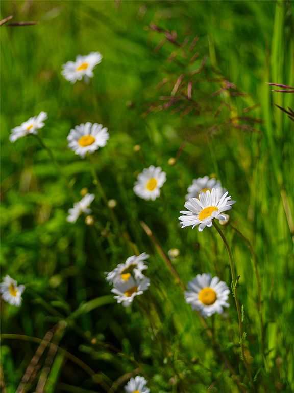 2519 Old Darby Road, Darby, MT 59829 photo 21