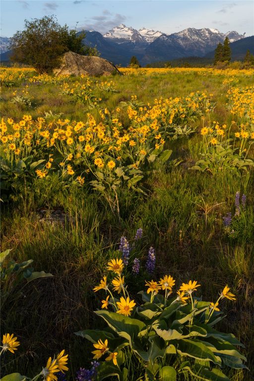 2519 Old Darby Road, Darby, MT 59829 photo 22