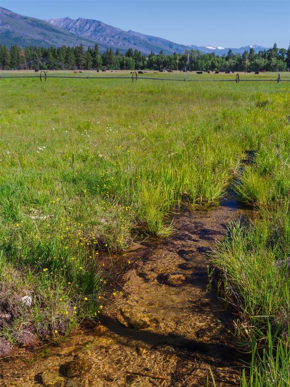2519 Old Darby Road, Darby, MT 59829 photo 23