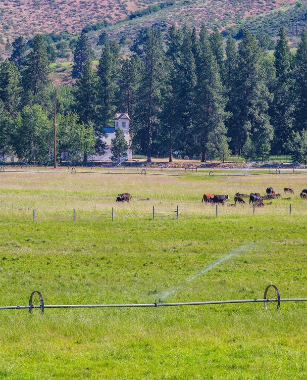 2519 Old Darby Road, Darby, MT 59829 photo 25
