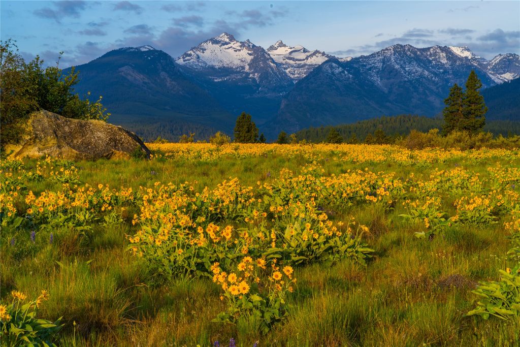 2519 Old Darby Road, Darby, MT 59829 photo 3