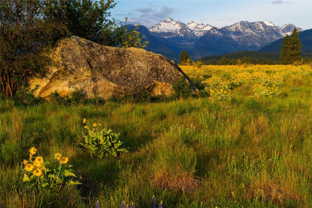 2519 Old Darby Road, Darby, MT 59829 photo 5