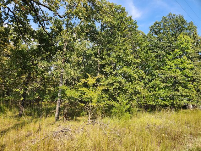 Lot 31 Fox Point Road, Quinlan, TX 75474