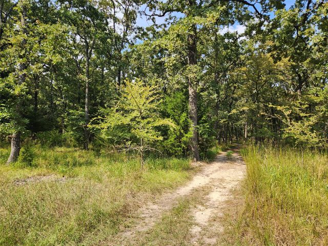 Lot 31 Fox Point Road, Quinlan, TX 75474