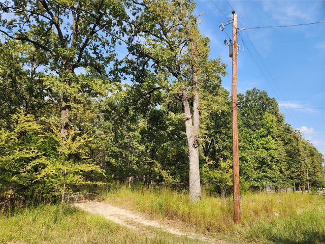 Lot 31 Fox Point Road, Quinlan, TX 75474