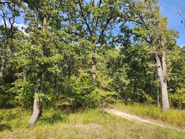 Lot 31 Fox Point Road, Quinlan, TX 75474
