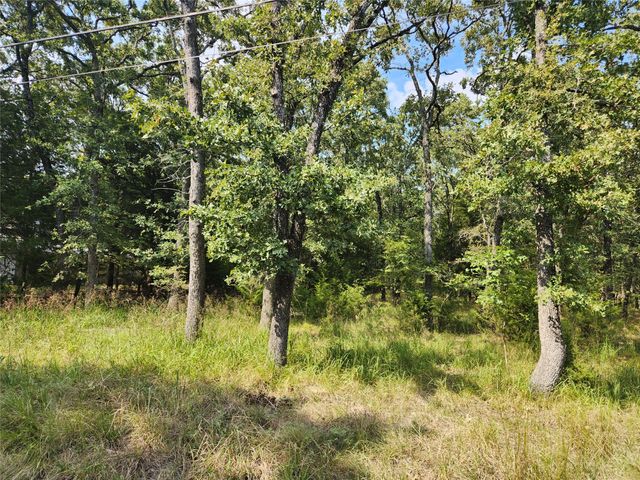 Lot 31 Fox Point Road, Quinlan, TX 75474