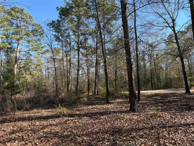 295 Lakecrest, Livingston, TX 77351