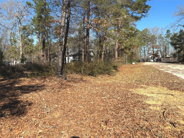 295 Lakecrest, Livingston, TX 77351