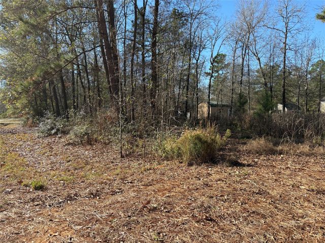 295 Lakecrest, Livingston, TX 77351