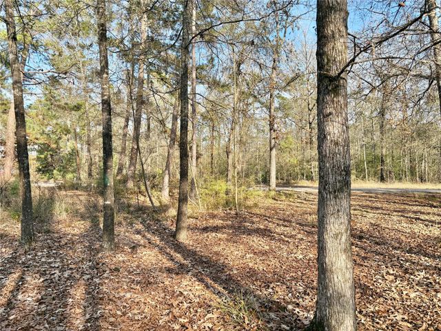 295 Lakecrest, Livingston, TX 77351