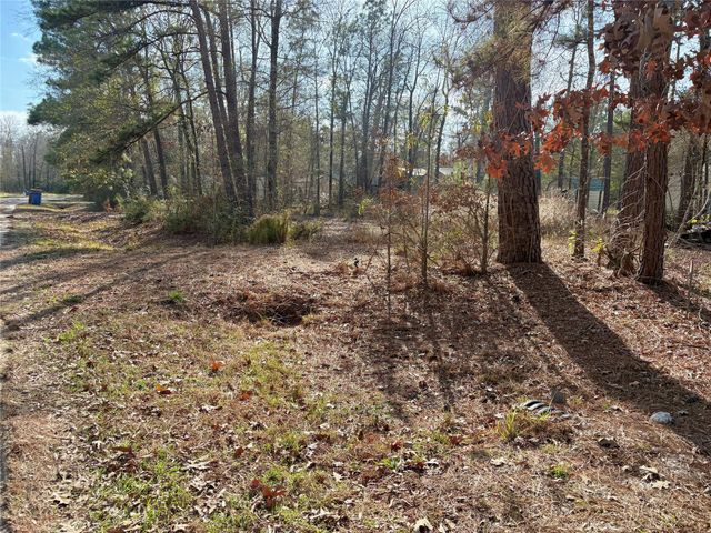 295 Lakecrest, Livingston, TX 77351