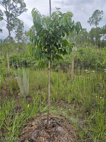 5833 Stewart LN, Labelle, FL 33935