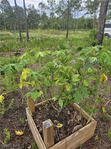 5833 Stewart LN, Labelle, FL 33935