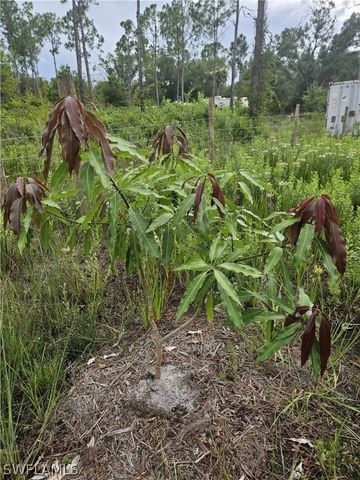 5833 Stewart LN, Labelle, FL 33935