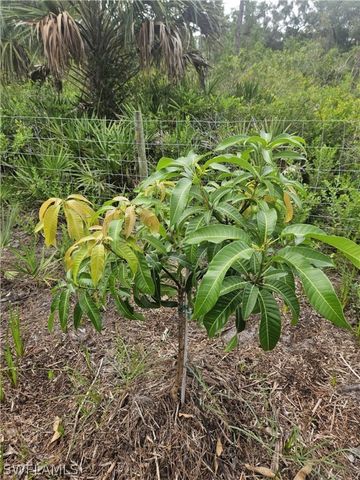 5833 Stewart LN, Labelle, FL 33935