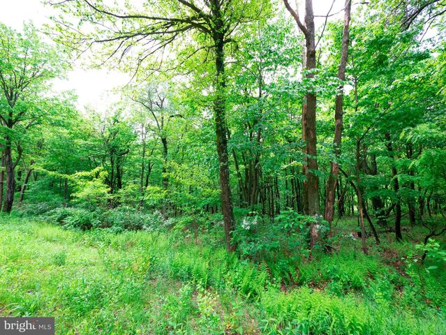 Lot 181 ROCKWOOD TRL, Winchester, VA 22602