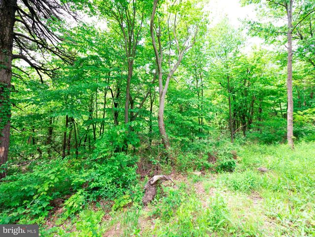 Lot 181 ROCKWOOD TRL, Winchester, VA 22602