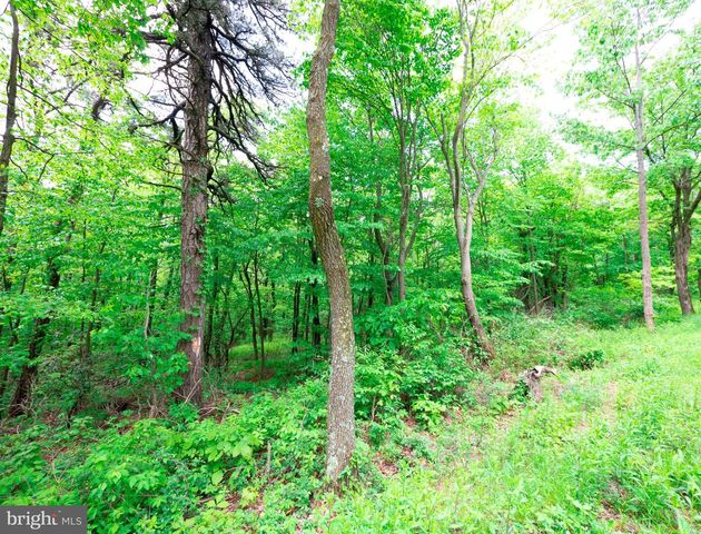 Lot 181 ROCKWOOD TRL, Winchester, VA 22602