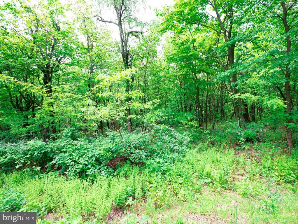 LOT 181 ROCKWOOD TRL, Winchester, VA 22602