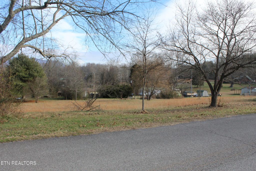 Lot 5 & 6 Powell Valley Shores Circle, Speedwell, TN 37870