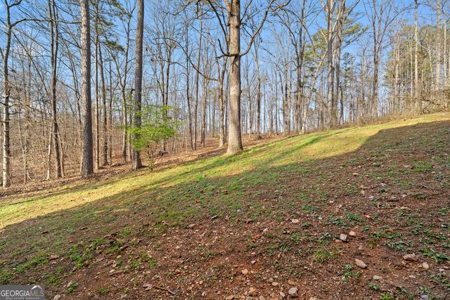 314 Calusa Place, Ball Ground, GA 30107