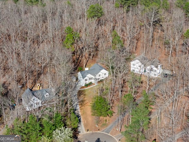 314 Calusa Place, Ball Ground, GA 30107