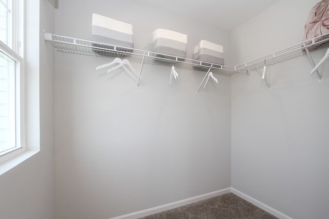 12332 Langley Circle, Huntley, IL 60142