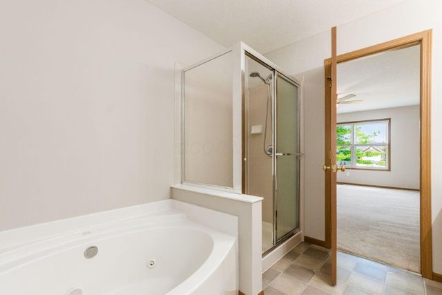 1665 Daffodil Place, Lewis Center, OH 43035