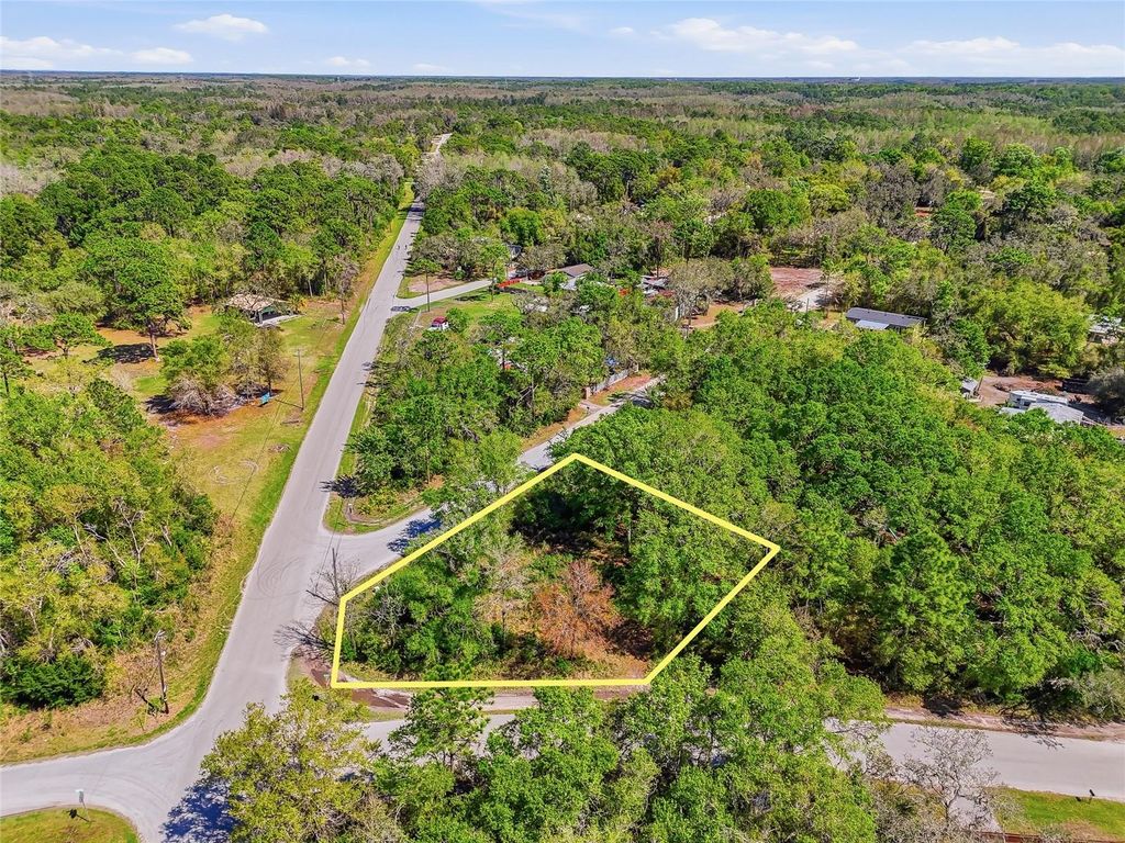 100 FERN STREET, New Port Richey, FL 34654