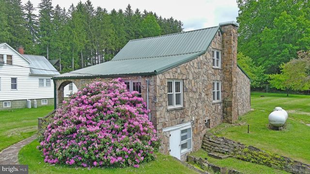 117 ACCIDENT BITTINGER RD, Accident, MD 21520