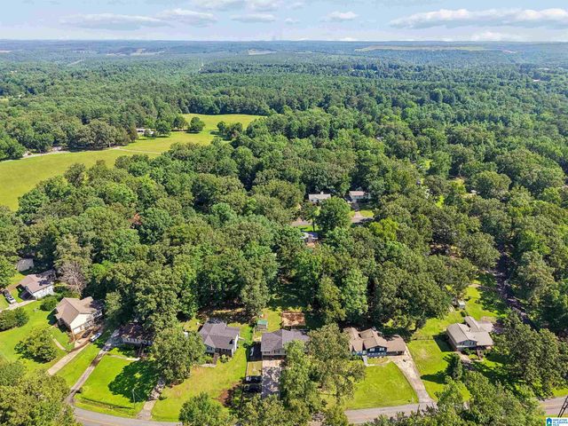 3232 VIRGINIA DRIVE, Hueytown, AL 35023