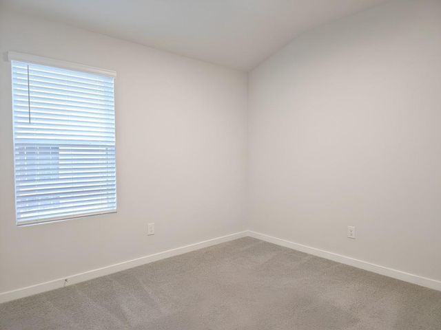 6912 California Black Oak Drive, Conroe, TX 77304