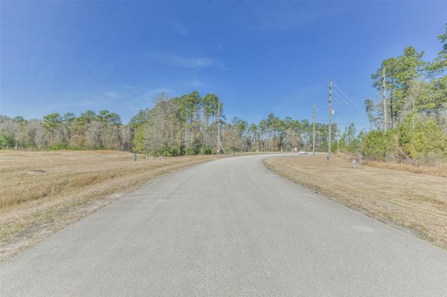 28635 Monterey Cliff Lane, Huffman, TX 77336