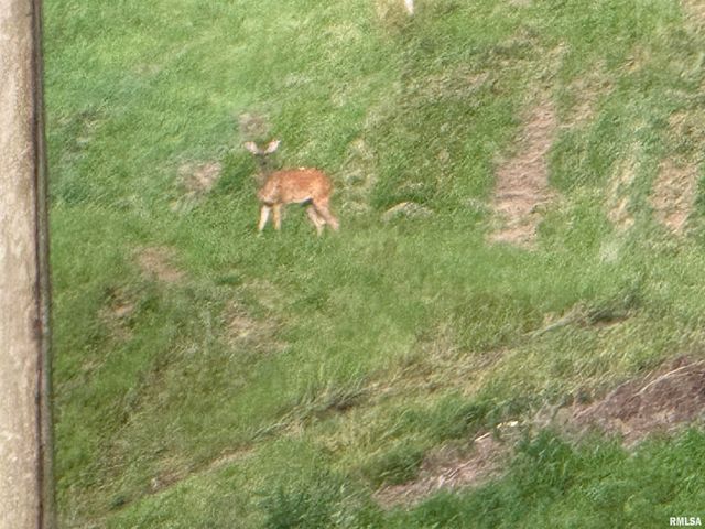 9049 Grassy Road, Marion, IL 62959