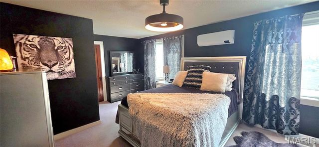 925 Lehmen Drive, Chester, IL 62233