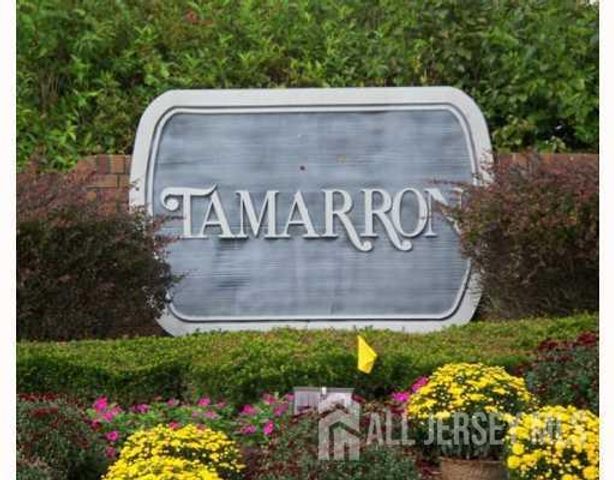 8020 tamarron Drive, Plainsboro, NJ 08536