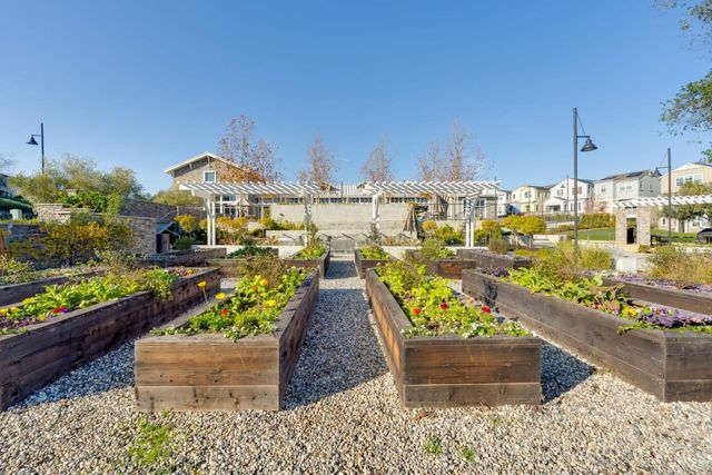 6914 Geyserville Street, Dublin, CA 94568