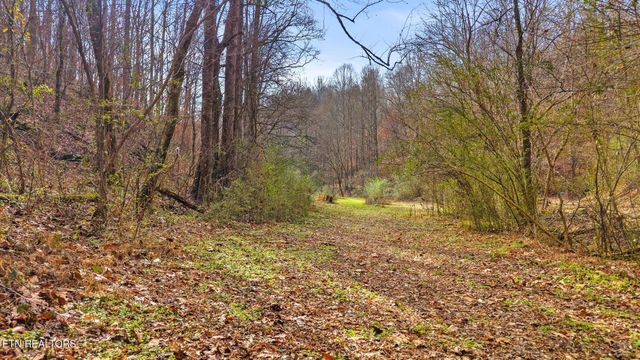 158 County Road 484, Englewood, TN 37329