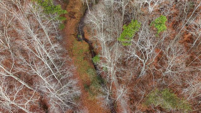 158 County Road 484, Englewood, TN 37329