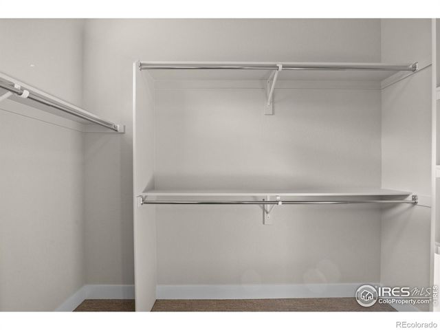 7188 Rye Grass Drive, Wellington, CO 80549