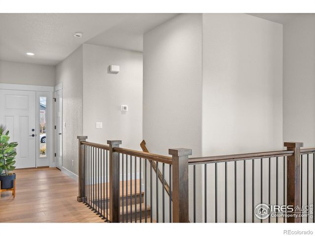 7188 Rye Grass Drive, Wellington, CO 80549