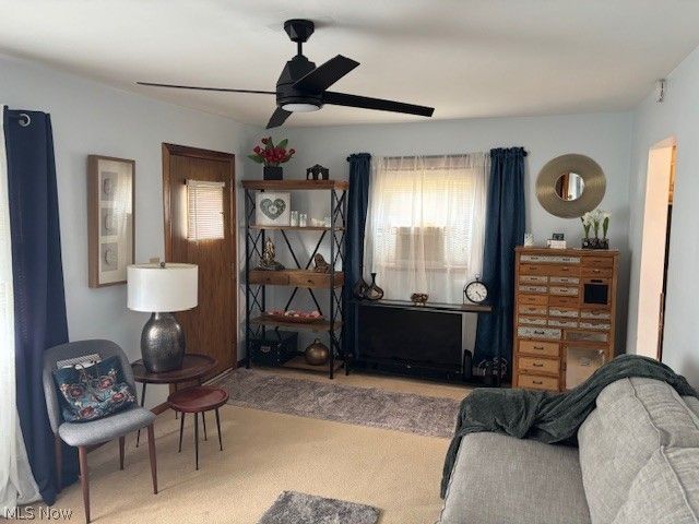 1407 Gypsy Lane, Niles, OH 44446